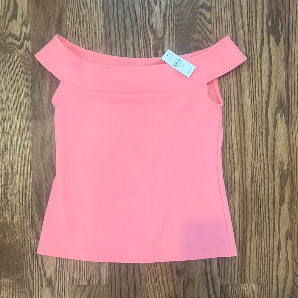 Ann Taylor Pink Boat Neck Top